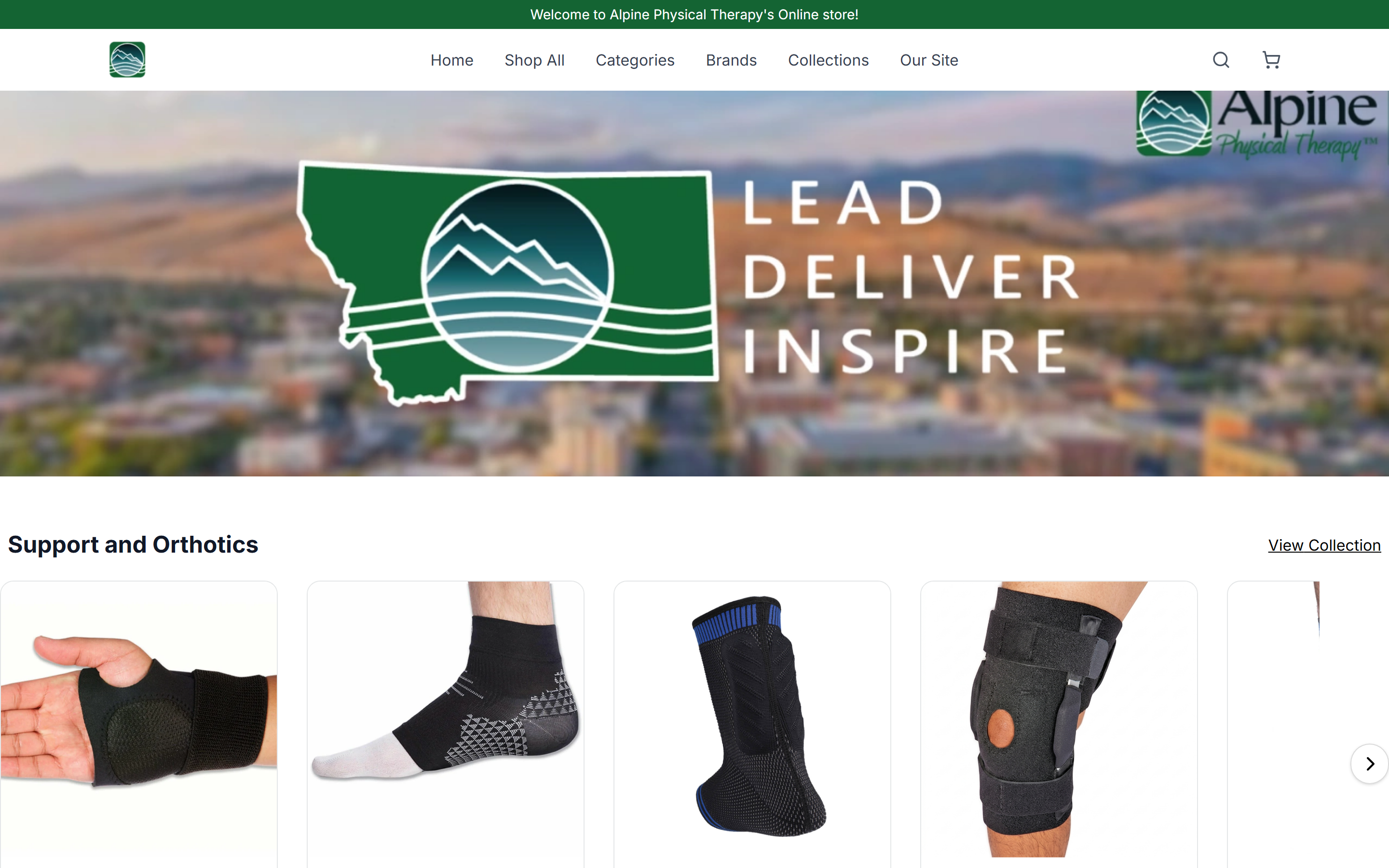 Alpine Physical Therapy — storefront on its own shopdot.co URL